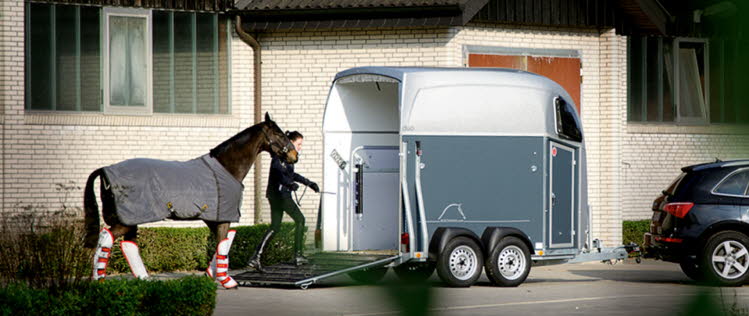 Pferdeanhnger Bckmann Anhnger Bhler_2 (2)